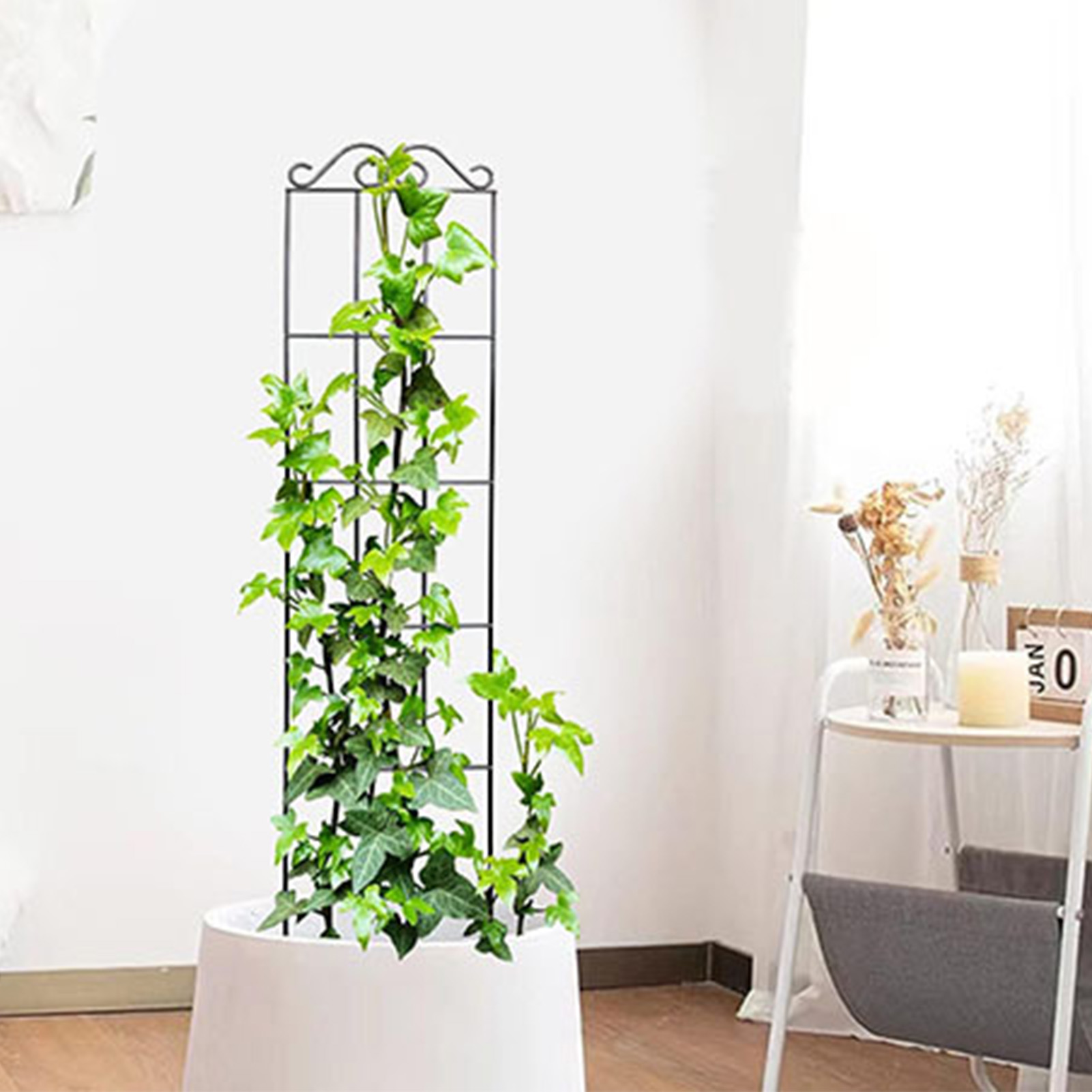 Tuinlatwerk Duurzaam Tuinlatwe - Florist Supply Bulk recensie en prijs