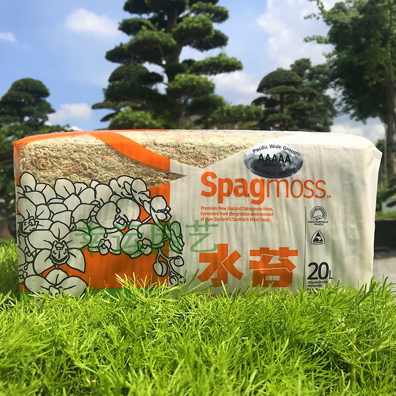 Nieuw-Zeelandse 5A Sphagnummos - Preserved Moss Sheet recensie en prijs