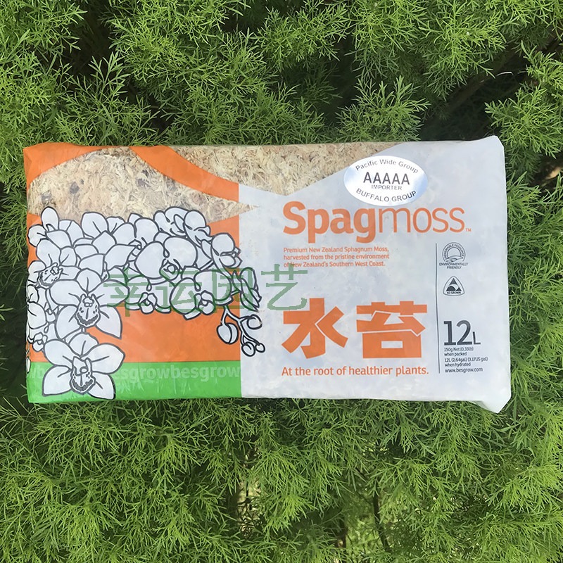 Nieuw-Zeelandse 5A Sphagnummos - Preserved Moss Sheet recensie en prijs